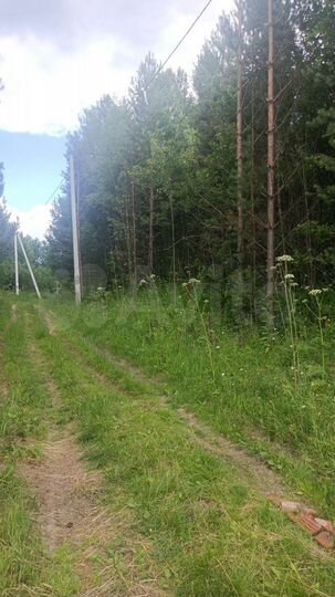 Участок 15,9 сот. (ИЖС)