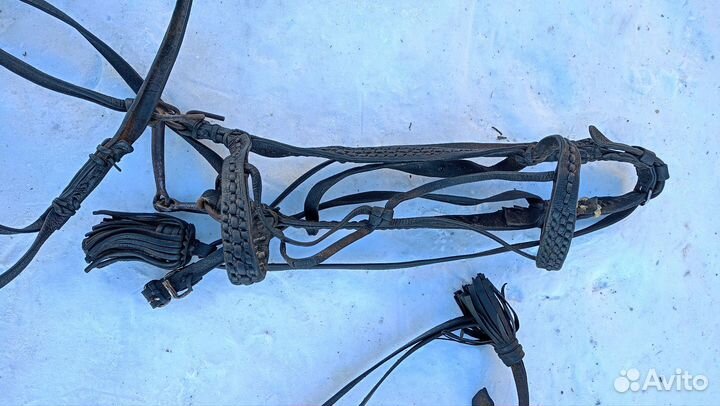 Сбруя для лошади