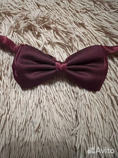 Бабочка галстук