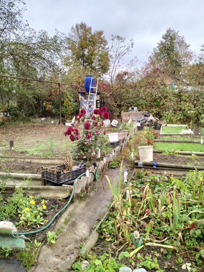 Дом 53 м² на участке 6,4 сот.