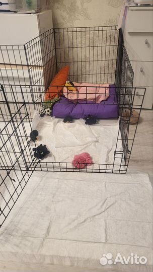 Вольер для собак в квартиру