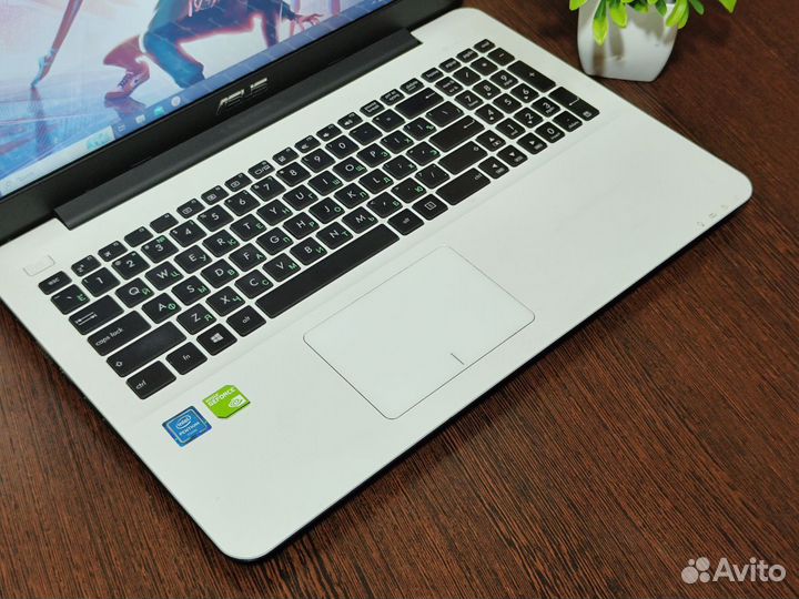 Ноутбук Asus 8 Gb SSD 256 GT 920M 1 Gb