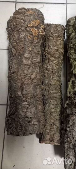 Пробковая кора