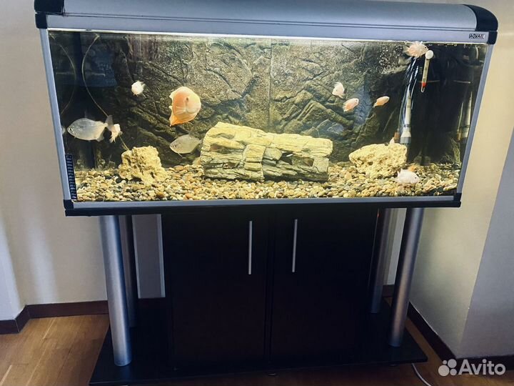 Аквариум aquael 250л