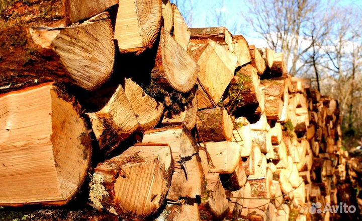 Дрова ольха