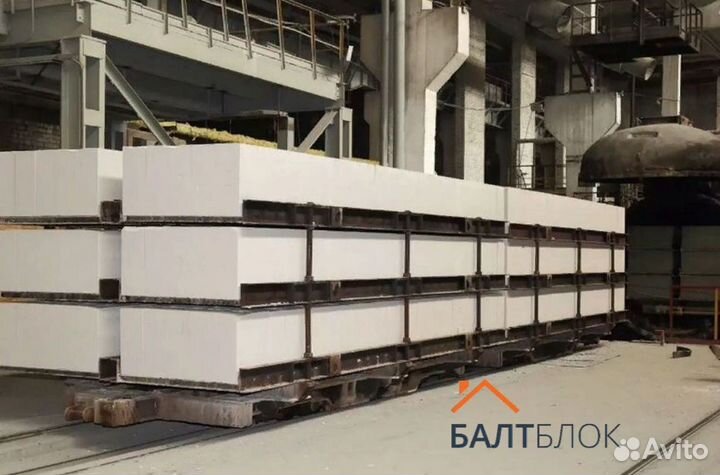 Блок газосиликатный 100х200х590мм