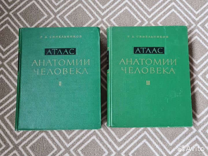Атлас анатомии человека Синельников
