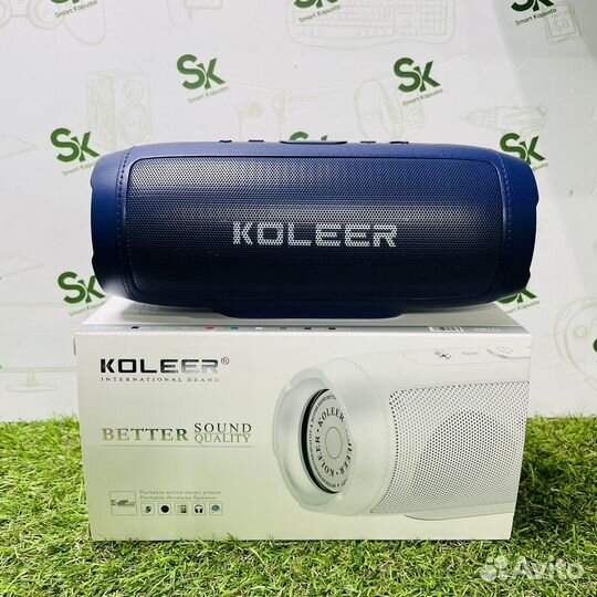Портативная колонка Koller S100 (kgn03)