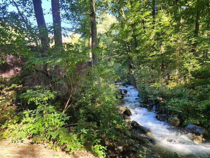 Участок 50 сот. (ИЖС)