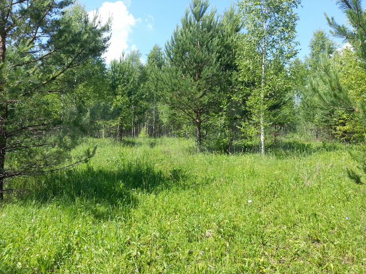 Участок 1,26 га (СНТ, ДНП)