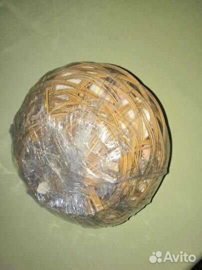 Морские ракушки раковины