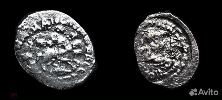 Чешуя Удельная Василия Темного см описаний