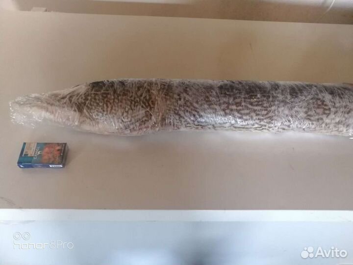 Рыба свежемороженая