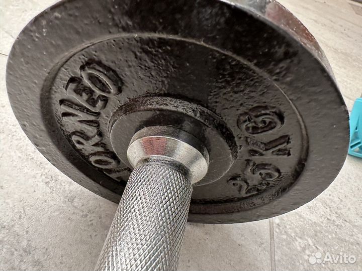 Гантели разборные torneo10 кг