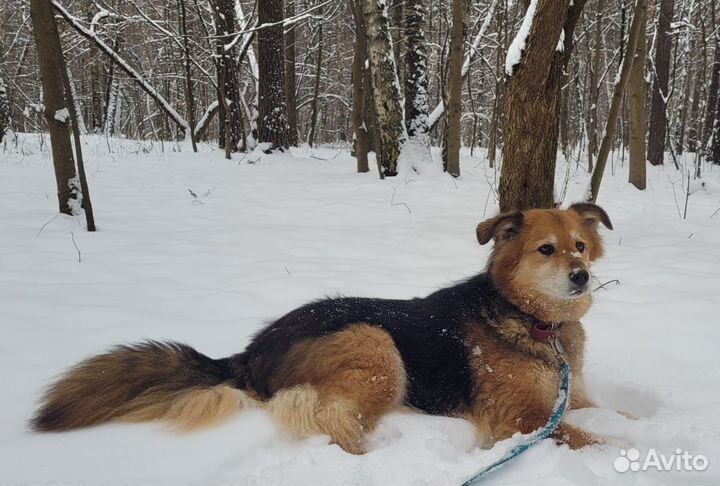 Герда готова покорить ваше сердце