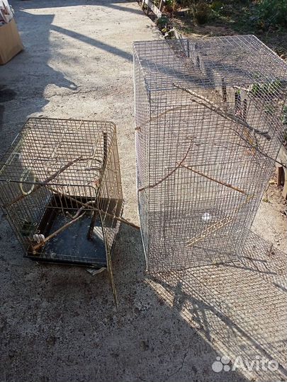 Клетки для попугая