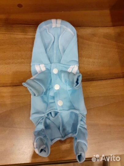 Новые костюмчики для маленьких собак