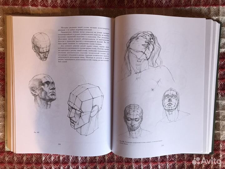 Основы учебного академического рисунка Николай Ли