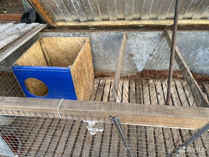 Клетки для кроликов б/у