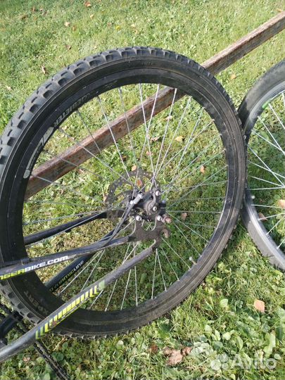 Хобби и отдых