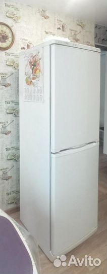 Холодильник Stinol