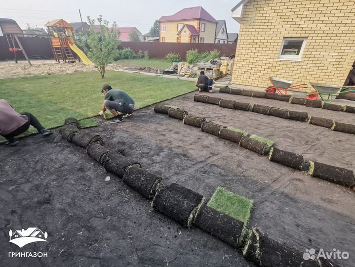 Рулонный газон с доставкой