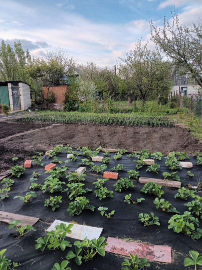 Дача 35 м² на участке 10 сот.