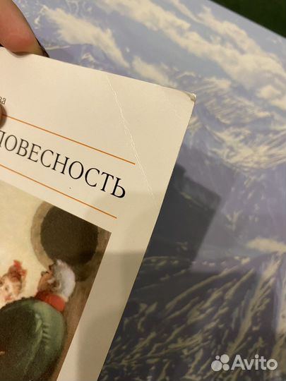 Русская словестность 8 класс