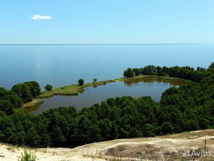 Экскурсия по Калининграду и на Куршскую Косу