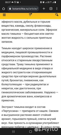 Чабрец ползучий или тимьян