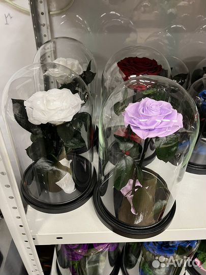 Вечная роза в колбе