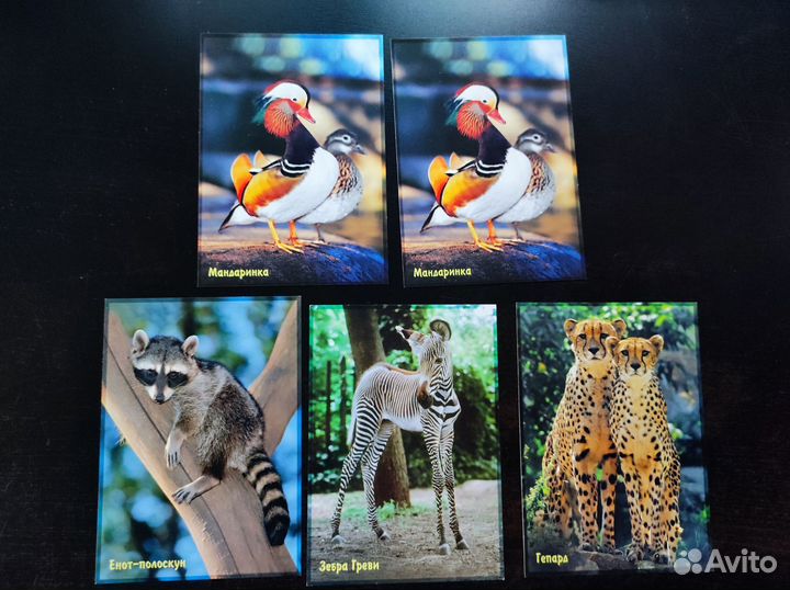 Открытки (почтовые карточки) с литерой В