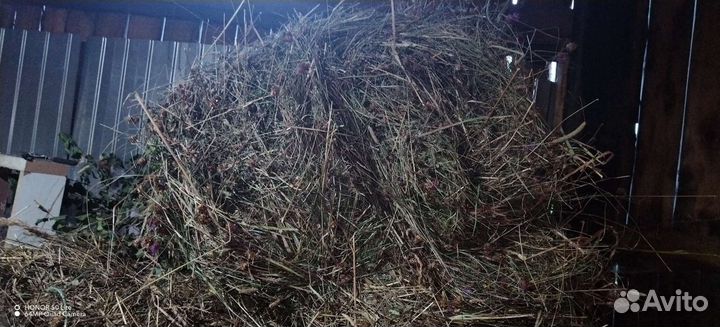 Сено в брикетах