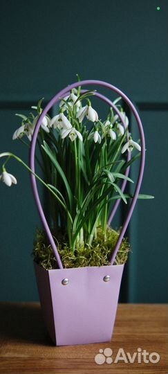 Подснежники для любимых