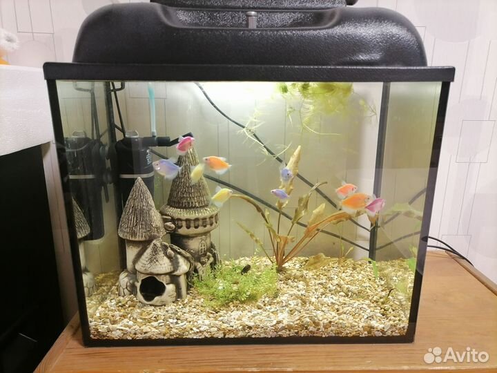 Аквариум