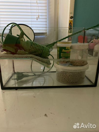Аквариум для маленьких черепах