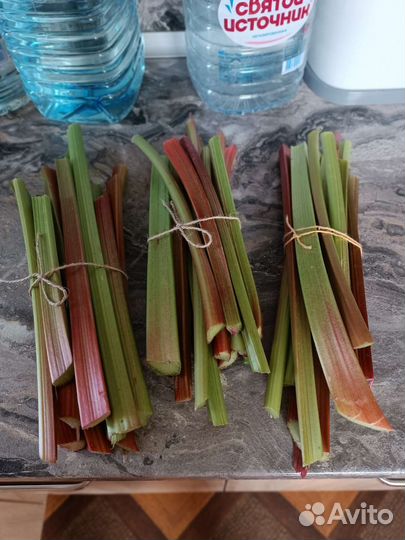 Свежий ревень