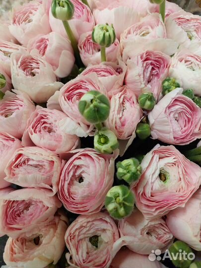 Доставка цветов и букетов