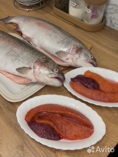 Форель свежая