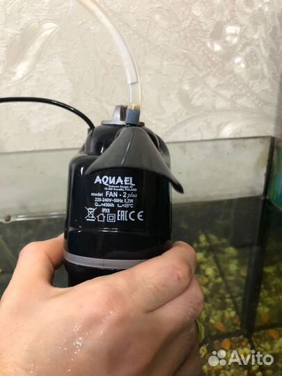 Аквариум на 100 литров с оборудованием и рыбками