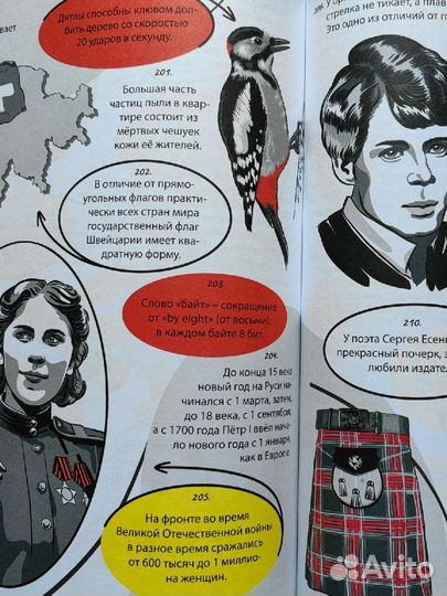 Книги детские новые энциклопедии азбука с окошками