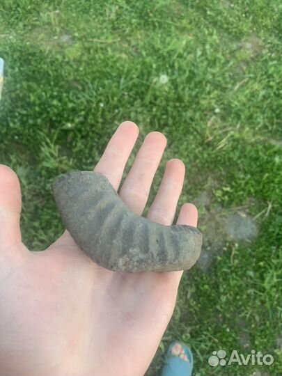 Окаменелость