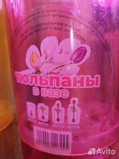 Вазы для выращивания луковичых растений