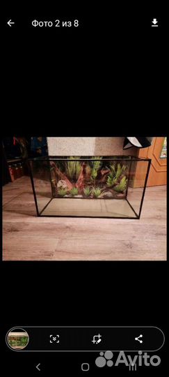 Аквариум