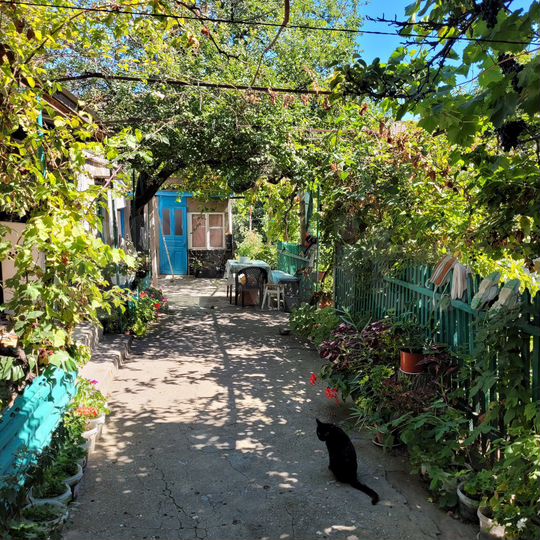 Дом 78,9 м² на участке 11 сот.