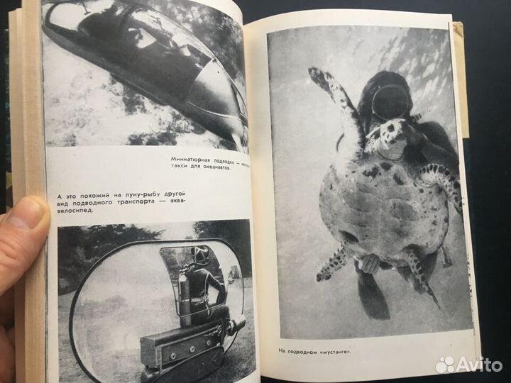 Гомо акватикус, Чернов, 1968