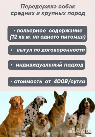 Передержка Собак крупных,средних и мелких пород