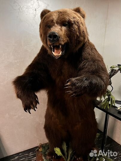 Имитация медведя. 195 см