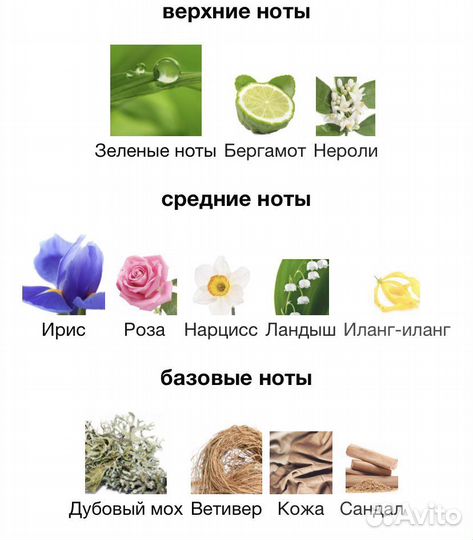 Оригинал No 19 Eau de Parfum Chanel 100мл