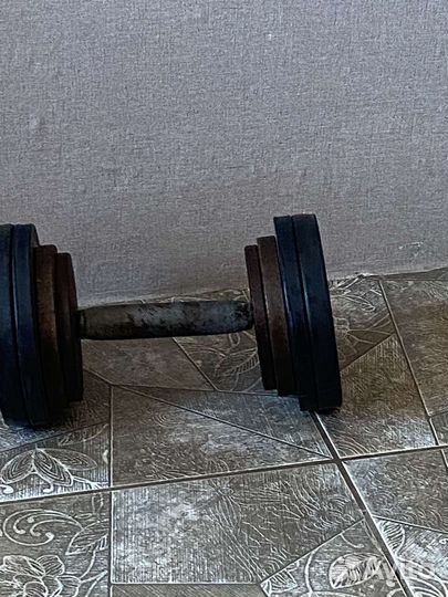 Гантель 12 кг